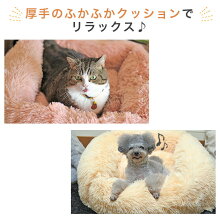 厚手のふかふかクッションでリラックス。