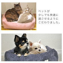 細部までこだわった形