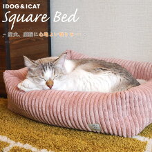 IDOG&ICATスクエアベッドコーデュロイ。