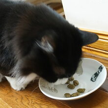 筆ちゃんも試食