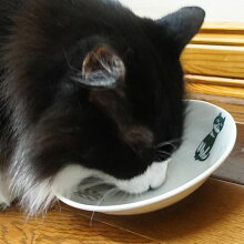 完食しました