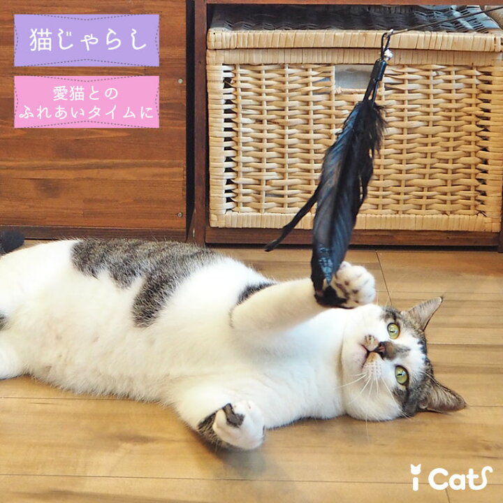 楽天市場 楽天お買い物マラソン 10 Off 猫 おもちゃ Icat ふんわり羽じゃらし アイキャット あす楽 翌日配送 猫用おもちゃ ペットグッズ ねこ ネコ 猫じゃらし 釣り竿 羽根 羽 プチプラおもちゃ 猫のおもちゃ Icat I Dog icat 猫首輪 猫グッズ 楽天市場 楽天お買い物マラソン 10 Off 猫 おもちゃ Icat ふんわり羽じゃらし アイキャット あす楽 翌日配送 猫用おもちゃ ペットグッズ ねこ ネコ 猫じゃらし 釣り竿 羽根 羽 プチプラおもちゃ 猫のおもちゃ Icat I Dog icat 猫首輪 猫グッズ