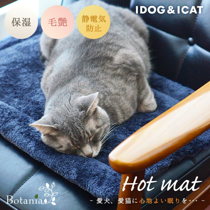 楽天市場 楽天お買い物マラソン 50 Off 猫 ブランケット マット Idog Icat Botania ぬくぬくホットマット アイドッグ あす楽 翌日配送 ボタニア 乾燥対策 保湿 被毛艶 ブランケット マット ひざかけ ステイマット 毛布 ｉｃａｔ 猫首輪 猫グッズ