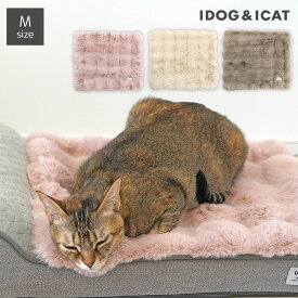 【 猫 マット 】IDOG&ICAT ブロックファー敷パッド Mサイズ 滑り止め付き アイドッグ【 あす楽 翌日配送 】【 マット 毛布 ブランケット キャリー ステイマット カート ペット ねこ ネコ 猫 猫用 子犬 小型犬 idog あいどっぐ 】