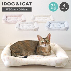 【お買い物マラソン セール ★40％OFF】【 猫 ベッド 】IDOG&ICAT クールスクエアベッド 接触冷感 抗菌 防臭 アイドッグ【 クッション ベット ひんやり 冷感 犬 小型犬 ベッド ねこ 猫用 子猫 ペットベット ふんわり 犬用ベッド 】