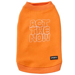 y L  ^N ziDog NуobNvg^N AChbO [OKy L ~  H ^N Ȃ ̕ L  h hbOEFA ybg   ^ ObY gCv[h `