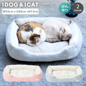 【プレゼントはカゴに入れてね★】【 猫 ベッド 】IDOG&ICAT 星空のスクエアベッド 接触冷感 抗菌 防臭 アイドッグ【 ひんやり 冷感 クール cool クッション 犬用ベッド カドラー ケージ 小型犬 ベッド ベット 犬のベッド 子犬 ねこ】