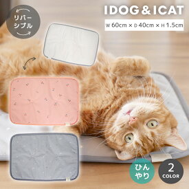 【クーポン利用で最大20％OFF★】【 猫 マット 】IDOG&ICAT クールステイマット リバーシブル 接触冷感 抗菌 防臭 アイドッグ【 ひんやり クール ステイマット カフェマット cool クールマット 夏用 春夏 接触 冷感 暑さ 熱中症 ペット 子猫 icat アイキャット】