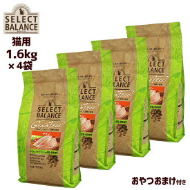 【 猫 キャットフード 】セレクトバランス グレインフリー 猫エイジングケア チキン 小粒 1.6kg×4袋 アイキャット 【 キャットフード ドライフード 猫用フード 餌 エサ えさ ご飯 ごはん カリカリ かりかり icat i dog 楽天 】