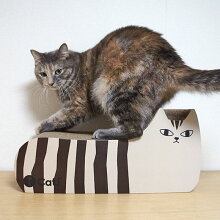 【猫】【つめとぎ】【iCat】【アイキャット】オリジナルつめとぎしまネコ。【段ボール】【ダンボール】【猫用つめとぎ】【猫のつめとぎ】【スクラッチャー】【キャットスクラッチャー】