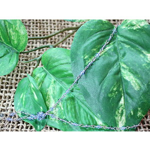 yzzyʌZ[IIzANZT[@lbNXr[YXtXL[u[IV}}ɂqlɂIXX