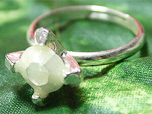 yzzyʌZ[IIzANZT[@wւĒ܃fUC@Vo[IV}}ɂqlɂIXX