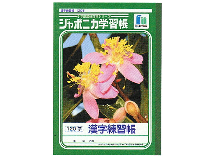楽天市場 ジャポニカ学習帳 ノート 漢字練習 1字 B5判 3 6年生用 Cdmファイブポケッツ