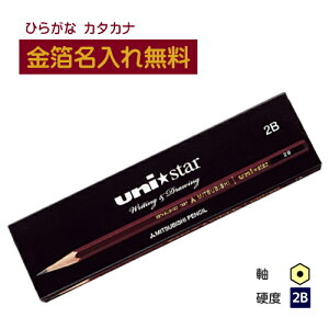 yzOHM@unistar jX^[@2B@