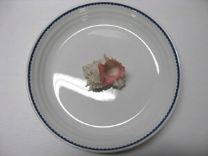 yAEgbgzu[g@MyƖpɃsb^z