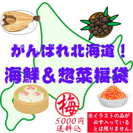 【送料込】がんばれ北海道！海鮮＆惣菜福袋（梅：5000円）