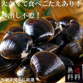 【送料無料】網走湖産砂出し大和しじみ 1.1kg(冷凍)【ヤマトしじみ】【やまとしじみ】【ヤマトシジミ】【砂抜き済】【砂出し済】