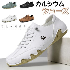 y22.5cm-30.5cmz傫TCYJWAV[Y IXX@VXj[J[ Y JWAV[Y hCrOV[Y EH[LOV[Y v amC y ʋ  C V[