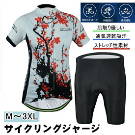 サイクルジャージ 上下セット 半袖ウエア サイクリング用 ロードバイク ウェア 自転車ウェア 夏用サイクルジャージ 半袖 サイクルウエア ビブパンツ 自転車 送料無料 レディース メンズ 吸汗速乾