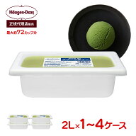 【正規代理店】ハーゲンダッツ業務用 グリーンティー 2L