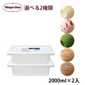 【HD】ハーゲンダッツ業務用　選べる2個セットバニラ　ストロベリー　グリーンティー　キャラメル