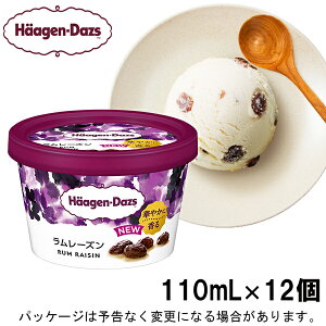 Ε ~Mtg XC[c ACX MtgΉ yHDzn[Q_bc~jJbv@[Y@110ml×12