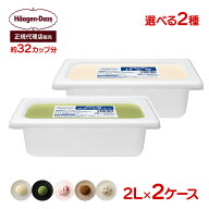 【正規代理店】ハーゲンダッツ業務用 選べる 2個セット 2L×2入