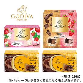 オリジナルセット アイス アイスクリーム 高級ゴディバ ショコラフォンデュ＆アソート セット 計4箱（29粒）