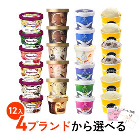 お歳暮 冬ギフト ギフト対応 オリジナルセット選べるプレミアムアイス人気の4ブランドから選べる 2ブランド12入