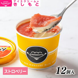 お歳暮 冬ギフト スイーツ アイス ギフト対応 アイスクリームのきしもとミニカップ　Yummy ヤミー ストロベリー　120ml×12入
