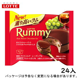 ロッテラミーチョコアイス　100ml×24入