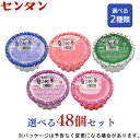 センタンかき氷　古都の氷華選べる2種類 48個セット（24個×2種）　150ml×48入