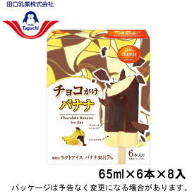 田口乳業チョコかけバナナ　65ml×6本×8入
