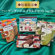 ハーゲンダッツギフト 【送料無料・残暑見舞い・ラッピング付】エメラルドセット6種14個入り 贈り物に最…