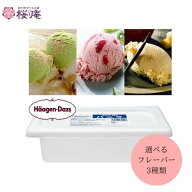 【3個で送料無料】ハーゲンダッツ 業務用 アイスクリーム 2L バルク バニラアイス バニラ グリーンティ …