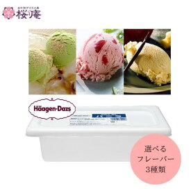 【3個で送料無料】ハーゲンダッツ 業務用 アイスクリーム 2L バルク バニラアイス バニラ グリーンティ ストロベリー 大容量 自宅用 業務用アイス ご褒美 イベント 景品 賞品 冷凍スイーツ クリスマス 冬ギフト