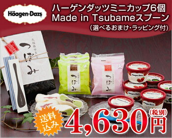 ハーゲンダッツミニカップ6個&つぼみ6個&MadeinTSUBAMEアイススプーン2個セット【送料込】【ラッピング付】