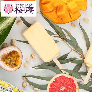 iceplantze gsJRRibco[iW[KjACXo[ Ђ XC[c }S[ sgp wV[ N[~[ p Cxgɂ v[gɂ X^btlCio[1