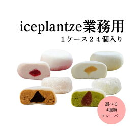 業務用 iceplantze 24個×2ケース 48個入 選べる4種 大容量 景品 イベント 学園祭 お祭り 文化祭 模擬店 乳製品不使用