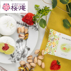 MOCHIMORE sX^`IƂyaƗm̑fނ~bNXnACXz2025@v[g@XC[c@p