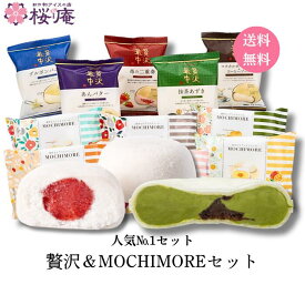 贅沢＆MOCHIMOREセット 11種セット｜秋の夜長に楽しむ 贅沢最中 モチモア もちアイス 冷凍和菓子 誕生日 内祝 御礼