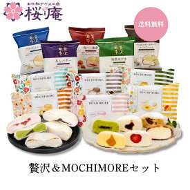 最中アイスギフト【送料無料・お中元・ラッピング付】 贅沢＆MOCHIMOREセット ver.3 11種セット（贅沢最中5種・MOCHIMORE6種） ギフト バニラ 抹茶 あんバター 苺 チーズ ティラミス ほか プレゼント 誕生日 内祝