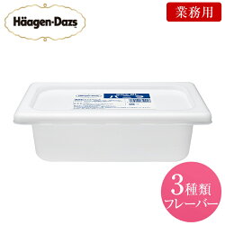 ハーゲンダッツ業務用アイス2Lバルク