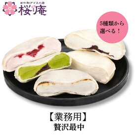 最中アイス【送料無料・業務用・お得】 贅沢最中シリーズ モナカアイス 20個×4ケース 80個入 選べる5種 ブルボンバニラ マスカルポーネチーズ＆コーヒーソース 苺の二重奏 あんバター 抹茶あずき 大容量 景品 イベント 学園祭 お祭り 文化祭 模擬店