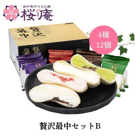 最中アイスギフト【送料無料・お中元・化粧箱付】贅沢最中アイスセットB 4種12個入 あんバター 苺の二重奏 抹茶あずき マスカルポーネチーズ＆コーヒーソース 和スイーツ 高級アイス ギフト 内祝い 誕生日プレゼント