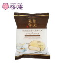贅沢最中 マスカルポーネチーズ＆コーヒーソース アイスクリーム　モナカアイス 新商品 ひんやり お取り寄せ 和スイーツ ご褒美 自宅用にも プレゼントにも