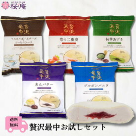 送料無料 贅沢最中お試しセット｜モナカアイス5種 各1個入り バニラ・苺・マスカルポーネチーズ・あんバター・抹茶 和スイーツ ご褒美 おやつ 自宅用