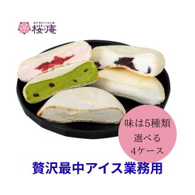 業務用 贅沢最中シリーズ モナカアイス 20個×4ケース 80個入 選べる5種 ブルボンバニラ マスカルポーネチーズ＆コーヒーソース 苺の二重奏 宇治抹茶＆大納言 あんバター 大容量 景品 イベント 学園祭 お祭り 文化祭 模擬店 クリスマス 冬ギフト