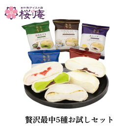 贅沢最中お試しセット【モナカアイス5種・各1個入り】バニラ 苺 マスカルポーネチーズ あんバター 抹茶 ご褒美スイーツ 自宅用 ひんやりおやつ 母の日 父の日