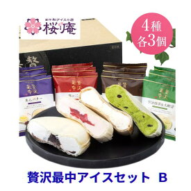 【送料無料・化粧箱入り】贅沢最中アイスセットB 2025 4種12個入 最中 アイス あんバター 苺の二重奏 宇治抹茶＆大納言 マスカルポーネチーズ＆コーヒーソース 和スイーツ 高級アイス ギフト 内祝い 御歳暮 クリスマス 冬ギフト 誕生日プレゼント
